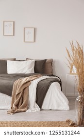 Blanket On Bed With Pillows In White Minimal Bedroom Interior With Plant And Posters. Real Photo