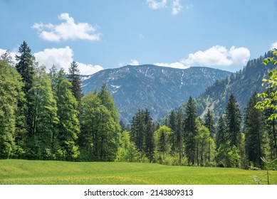 Blauberge Berge, Frühjahrslandschaft Oberbayern. Sonnentag im Mai