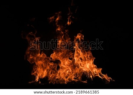 Blaze burning fire flame on art texture background.