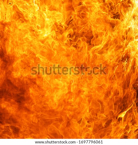 blaze fire flame conflagration texture background in square ratio