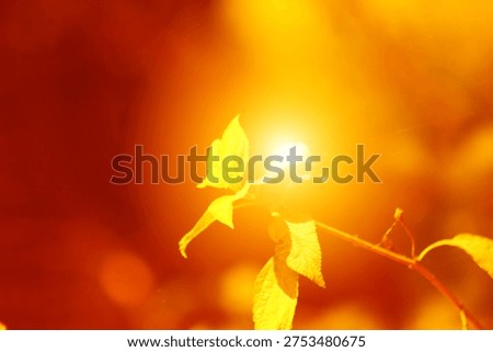 Blazing Infernal Singularity Piercing Through Cursed Flora