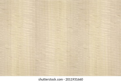 Bleached Light Sycamore Wood Veneer Texture Isolated