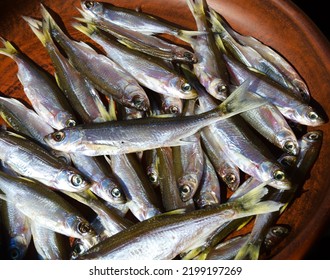 Bleak Or Shemaya. Dried Fish On A Ceramic Plate. Very Tasty, Oily Fish For Beer.