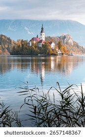 Bled lake in fall surrounded by Julian Alps and colorful trees, with church on island. Picturesque Slovenian scene with vibrant foliage and tranquil alpine waters