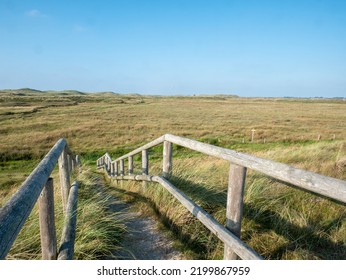 Blick in die Dünen Landschaft  - Shutterstock ID 2199867959