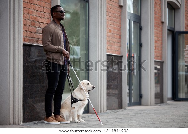 blind black man with dog\
guide, handsome guy in eyeglasses hold golden retriever on a leash,\
looks away