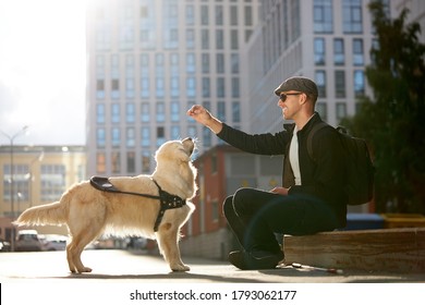 Blind Disabled Man Training Golden Retriever Dog Guide Outdoors, Giving Obedience Command