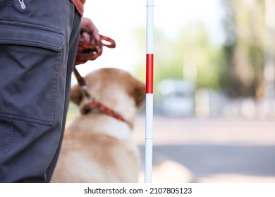 Blind man with guide dog outdoors - Shutterstock ID 2107805123