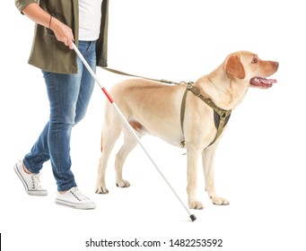 Blind Mature Woman With Guide Dog On White Background