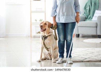 Blind Mature Woman With Guide Dog At Home