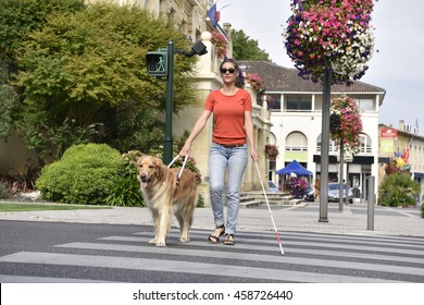 Blind woman crossing the street with help of guide dog
