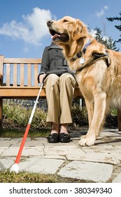 Blind Woman And A Guide Dog