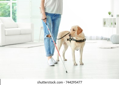 Blind Woman With Guide Dog At Home