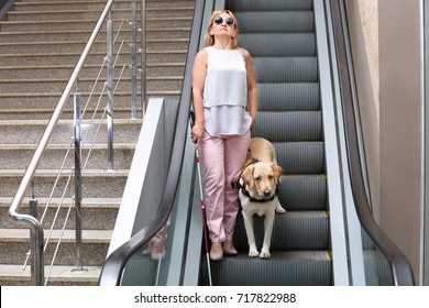 Blind Woman With Guide Dog On Escalator