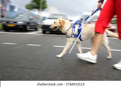 Blind woman and seeing eye dog crossing street