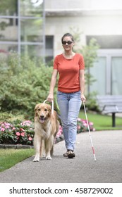 Blind Woman Walking In Park With Dog Assitance