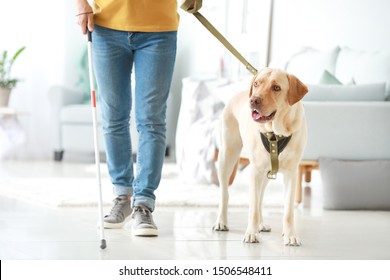 Blind Young Man With Guide Dog At Home