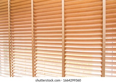 Blinds window decoration interior of room