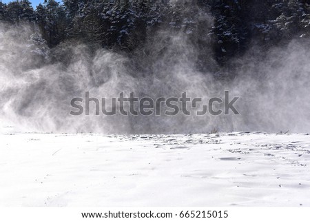 blizzard