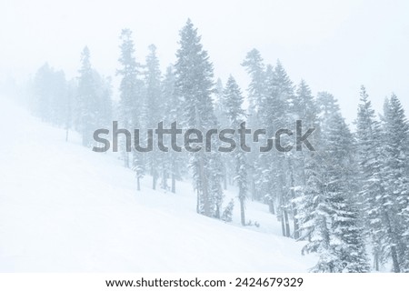 Blizzard condition skiing, Truckee, USA