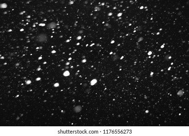 Blizzard At Night, Falling Snow On A Black Background