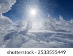 Blizzard-like gusts of strong winds howl in the forest of giant Juhyo (ice trees, snow monsters) and the icy snowflakes fly in the air, in Zao Onsen (hot spring) and ski resort, in Yamagata, Japan