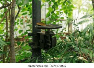 block with a cable for opening the window on the dome in an old greenhouse