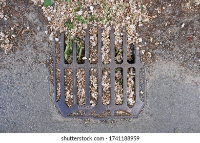 Blocked Road Drain With Leaves And Vegetation