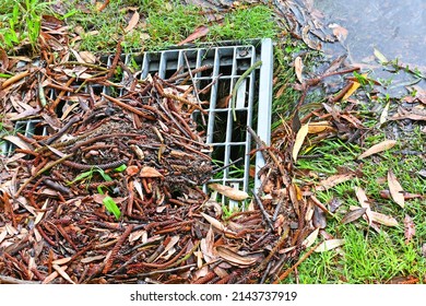 Blocked Storm Water Drain After Heavy Rain