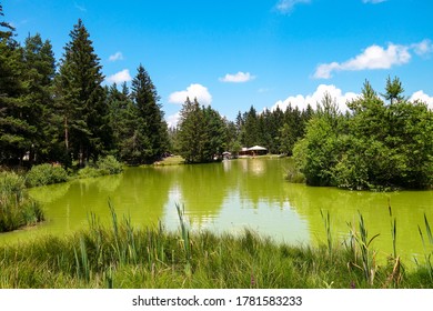 Bloke lake - Volcje jezero in the summer, Nova Vas, Slovenia. - Shutterstock ID 1781583233
