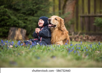 Blond Big Dog And Baby Boy In Spring Having Fun