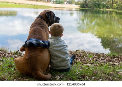 Blond Boy With A Large Brown Dog, English Mastiff Are Sitting At A Lake, A Pond, Or A River. Cool, Clear, Sunny Day. Clouds Reflecting In A Water. View From A Back.  Boy Is Hugging A Dog.