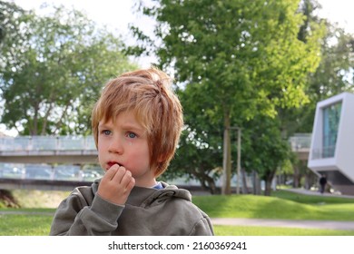 The Blond Boy Looks Into The Distance And A Tear Rolls From His Eye. A Sad Five-year-old Boy. 