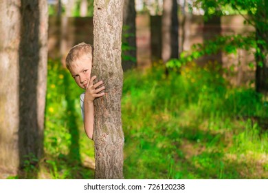 5,081 Kid behind tree Images, Stock Photos & Vectors | Shutterstock