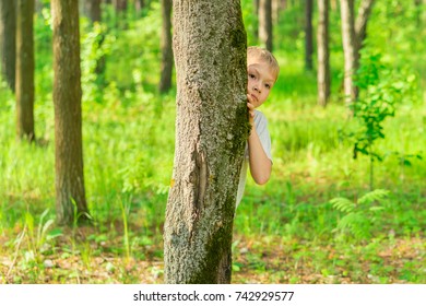 5,081 Kid behind tree Images, Stock Photos & Vectors | Shutterstock