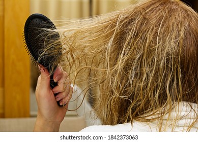 Blond Combing Wet And Tangled Hair. Young Woman Combing Her Tangled Hair After Shower, Close-up.