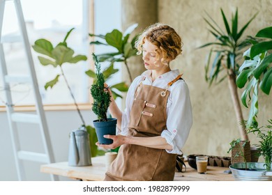 Blond curly woman gardener housewife in apron forming thuja tree using garden shears at home. Find time for yourself concept. - Shutterstock ID 1982879999