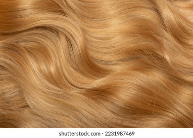 Blond hair close-up as a background. Women's long blonde hair. Beautifully styled wavy shiny curls. Hair coloring. Hairdressing procedures, extension. - Shutterstock ID 2231987469
