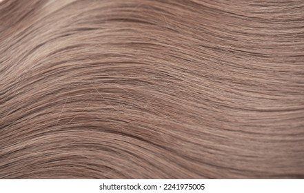 Blond hair close-up as a background. Women's long light brown hair. Beautifully styled wavy shiny curls. Hair coloring. Hairdressing procedures, extension. - Shutterstock ID 2241975005