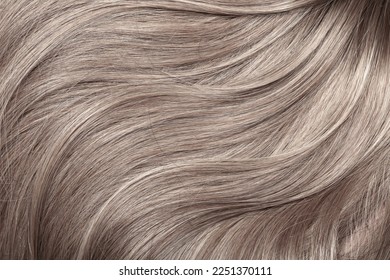 Blond hair close-up as a background. Women's long light brown hair. Beautifully styled wavy shiny curls. Hair coloring. Hairdressing procedures, extension. - Shutterstock ID 2251370111