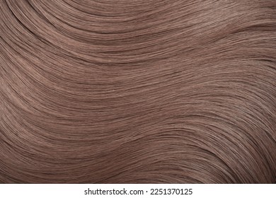 Blond hair close-up as a background. Women's long light brown hair. Beautifully styled wavy shiny curls. Hair coloring. Hairdressing procedures, extension. - Shutterstock ID 2251370125