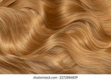 Blond hair close-up as a background. Women's long blonde hair. Beautifully styled wavy shiny curls. Hair coloring. Hairdressing procedures, extension.