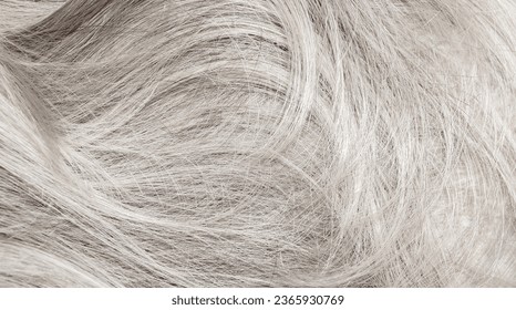 Blond hair close-up as a background. Women's long blonde hair. Beautifully styled wavy shiny curls. Hair coloring. Hairdressing procedures, extension. White hair - Shutterstock ID 2365930769