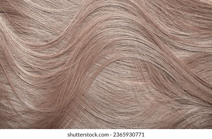 Blond hair close-up as a background. Women's long light brown hair. Beautifully styled wavy shiny curls. Hair coloring. Hairdressing procedures, extension. - Shutterstock ID 2365930771