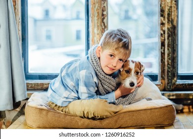 Blond Sweden Boy With His Friend Jack Russel Terrier Hugging And Wrap Up In Grey Knitted Scarf Near The Window In Winter Time At Home.