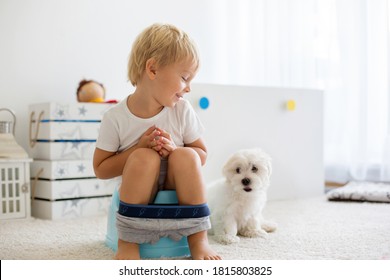 Blond Toddler Child, Using Potty At Home, Little Pet Maltese Dog Lying Next To Him