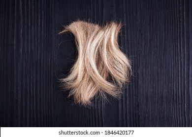 Blond wavy hair lock black wooden background close up, cut off natural blonde hair curl on dark wood, haircut, hairstyle, human hair clipping, hair snip, shearing, hairdo, coiffure, barber, copy space