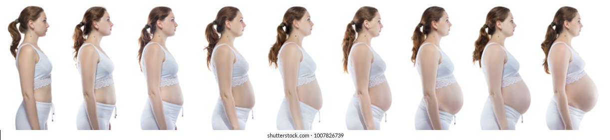 Blond woman during pregnancy with bare belly