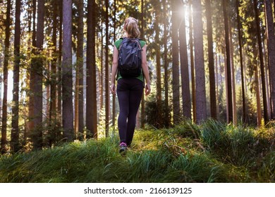 Blond woman hiking through forest. - Shutterstock ID 2166139125