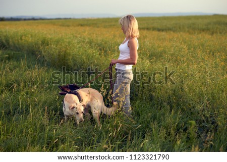 Similar – Image, Stock Photo Blond woman walking her dogs at sunset